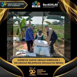 Supervision of Subround 3 Tiling Survey in Belendung Village, Benda District