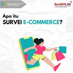 Yuk kenalan sama Survei E-Commerce